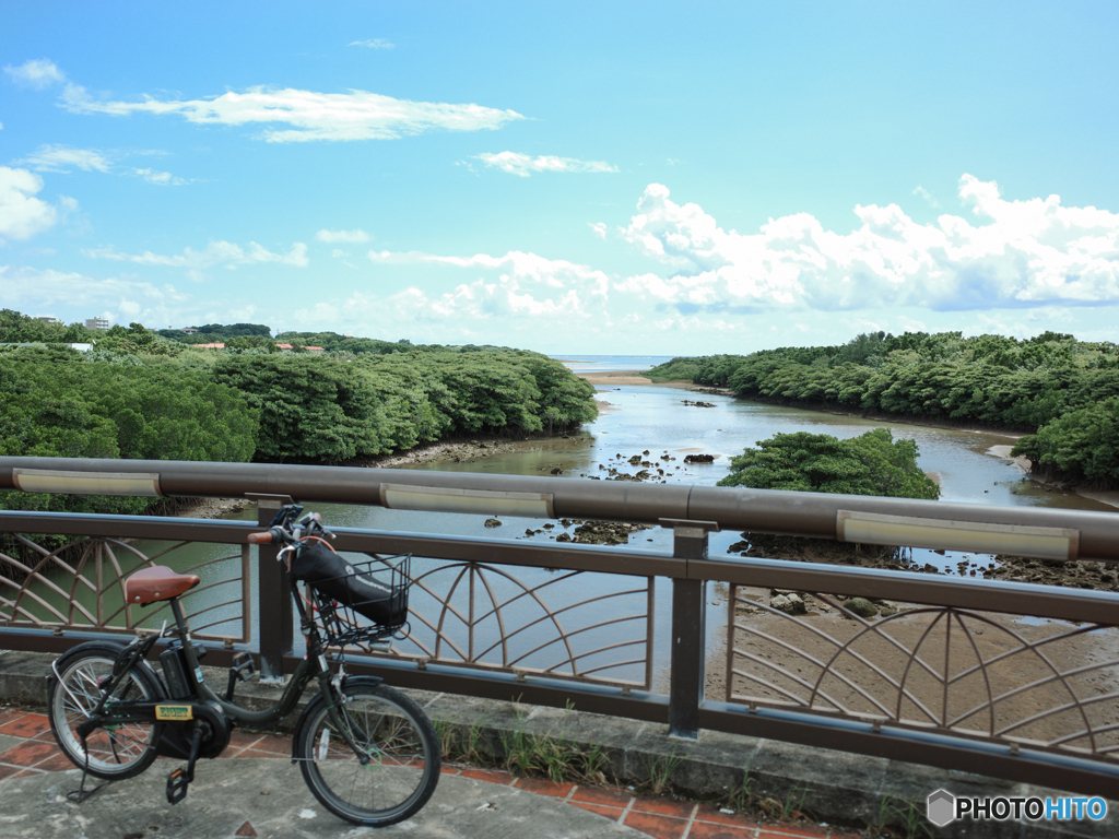 サイクリング