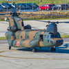 ＣＨ－４７ＪＡ　南ぬ島 石垣空港