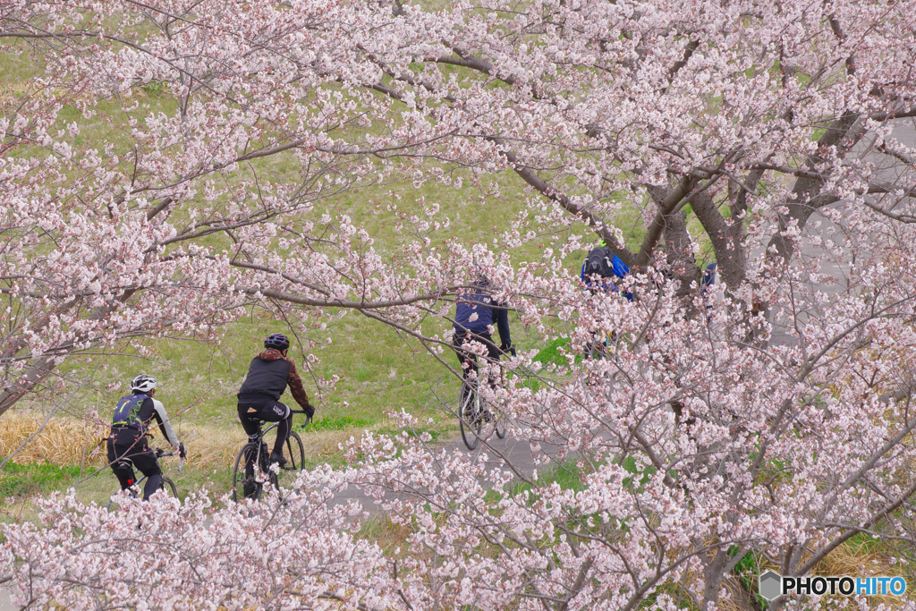 サイクリング