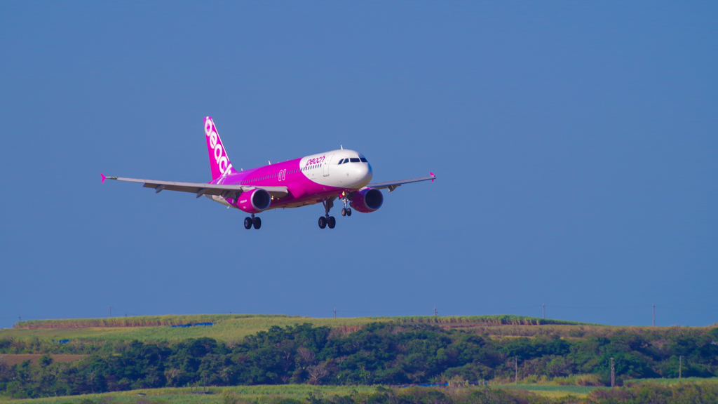 Peach　南ぬ島 石垣空港