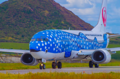 ジンベエジェット　Ishigaki Airport