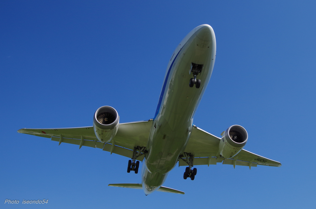 Boeing 787-8 Dreamliner ③