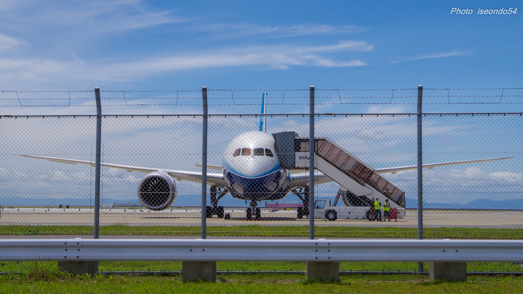 787ドリームライナー ZA001号機 ①