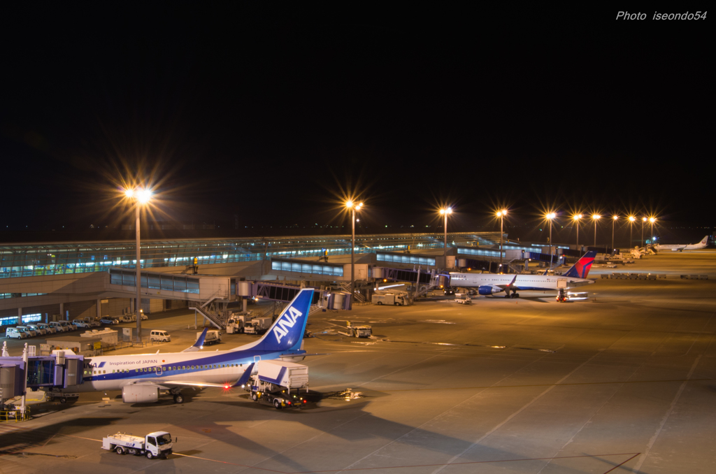 スカイデッキの夜景　③