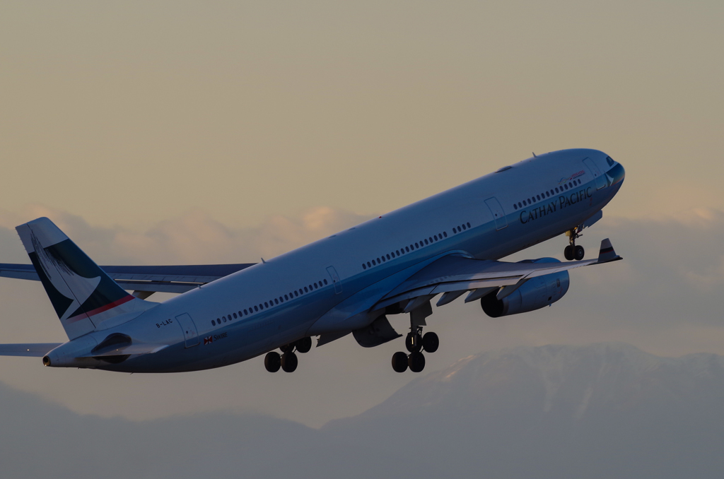 Cathay A330　⑤