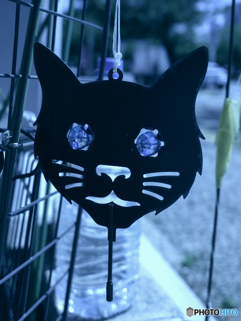 クロネコ