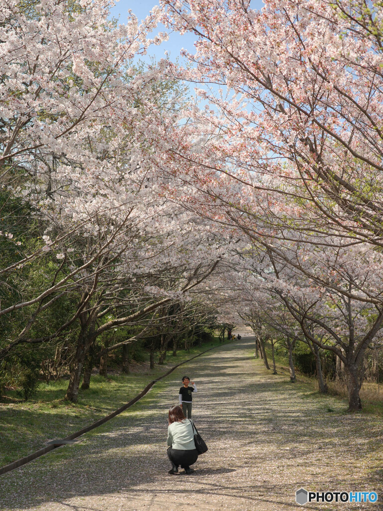 トンネル