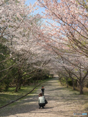 トンネル