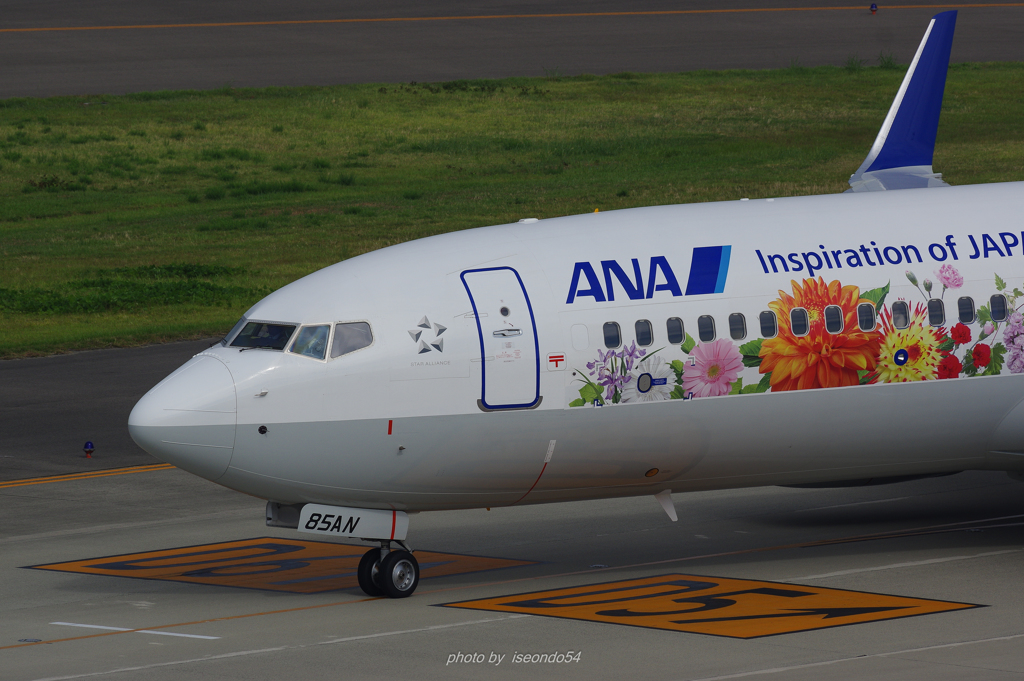 フラワージェット