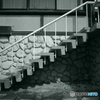プロセス
