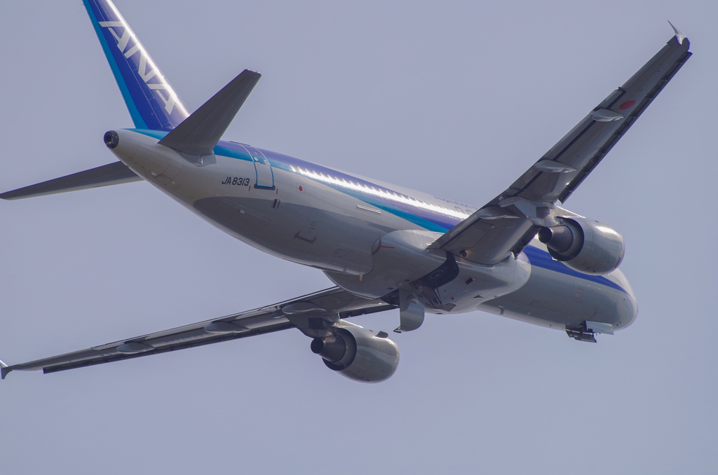 ANA　Airbus A320