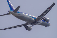 ANA　Airbus A320