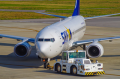 南ぬ島　石垣空港　Skymark　737-800