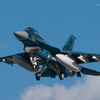 F-2A 帰投