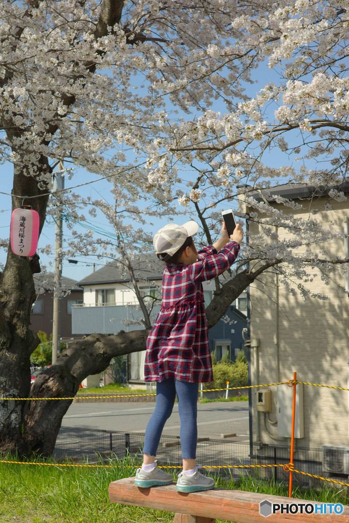 小さなカメラマン