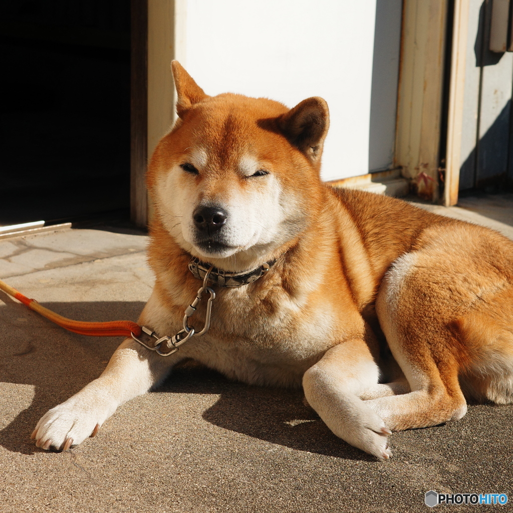なごむ