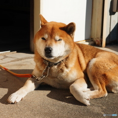 なごむ