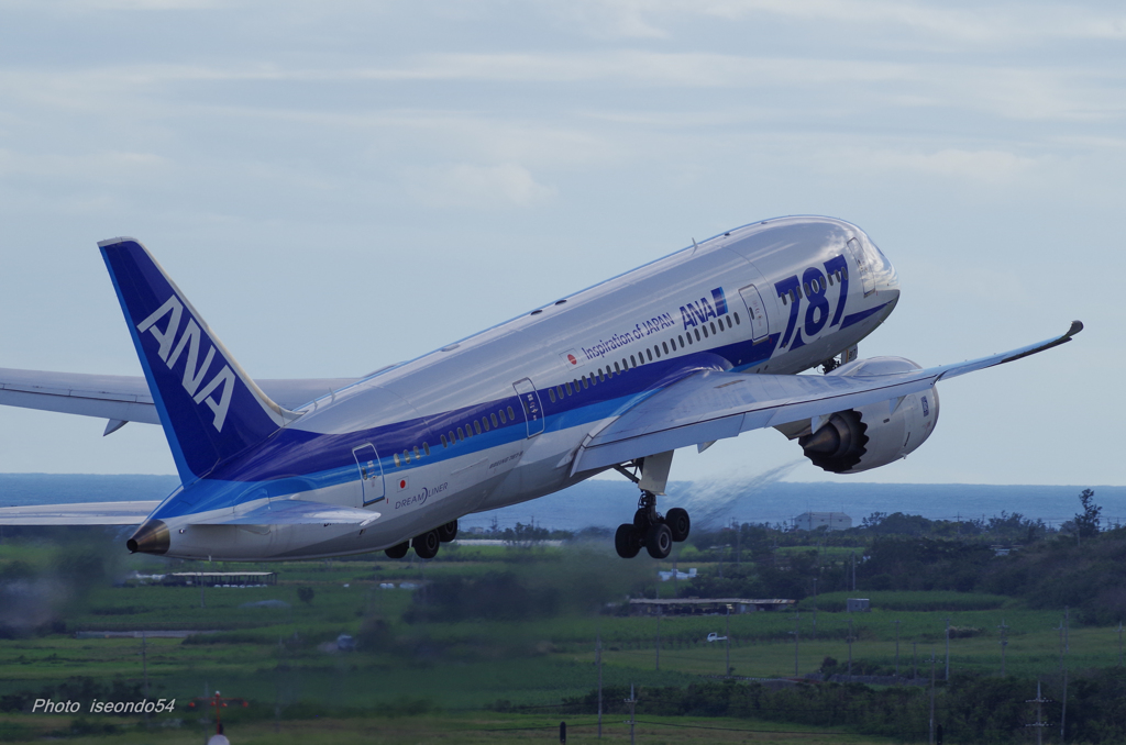 Dreamliner　⑤
