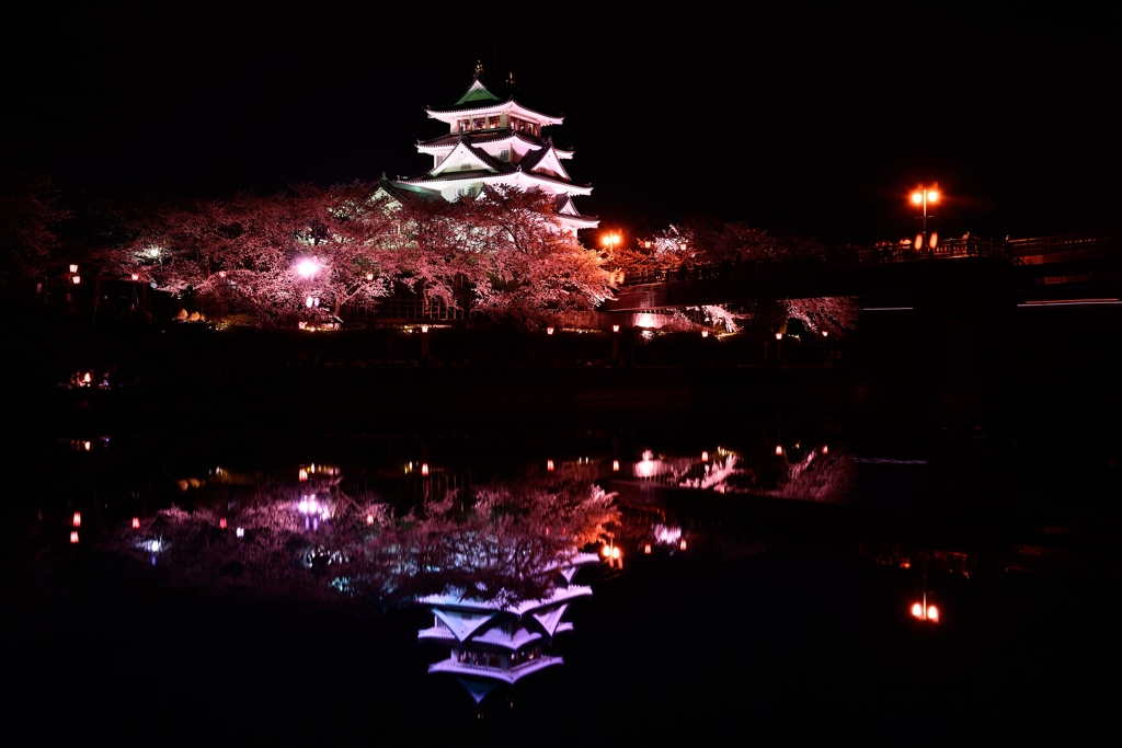 一夜の夜桜