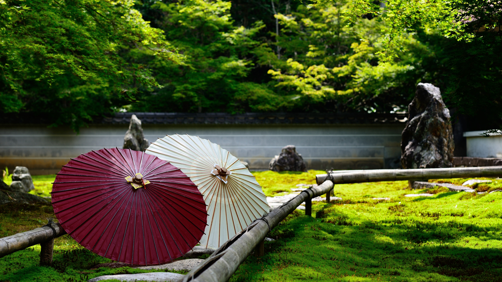 岐阜　真長寺
