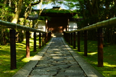 高桐院　参道