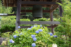 あじさい寺