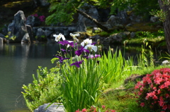 天龍寺の庭園