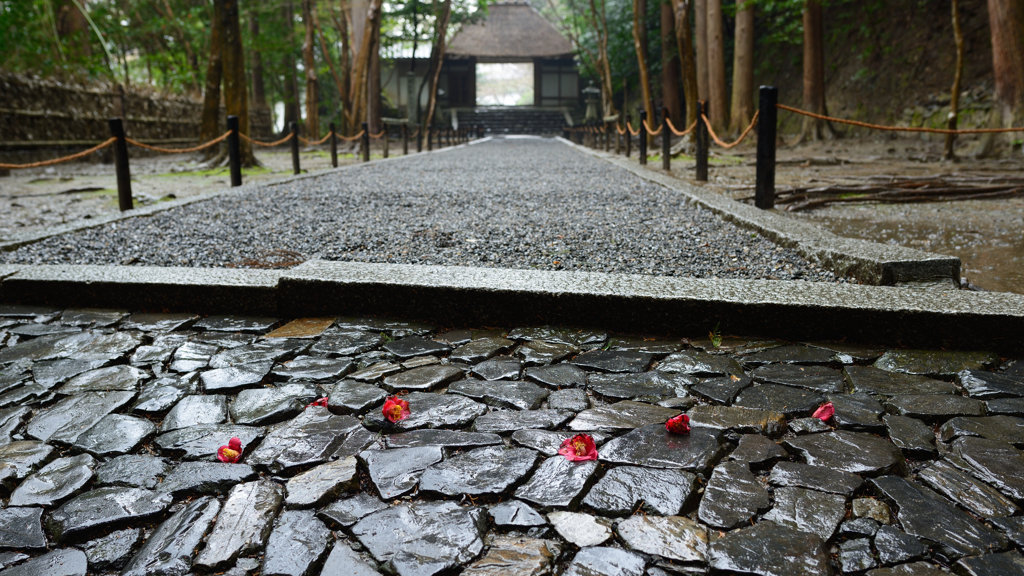 法然院１　雨の参道