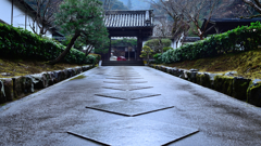 雨の京　最勝院１