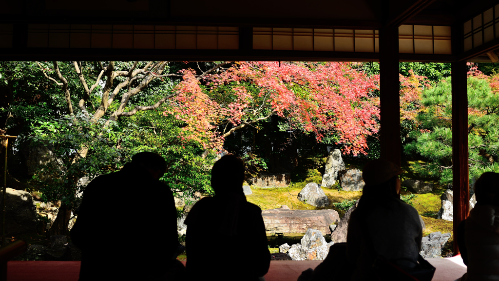 圓徳院