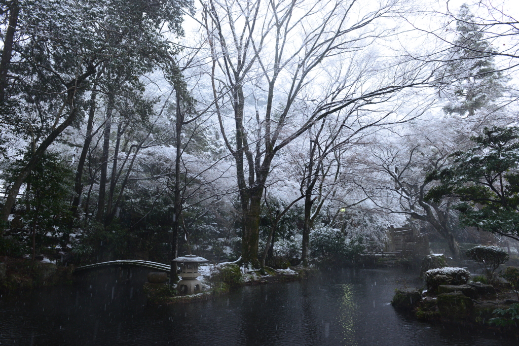 雪溶ける水辺
