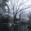 雪溶ける水辺
