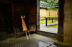 高桐院　雨宿り