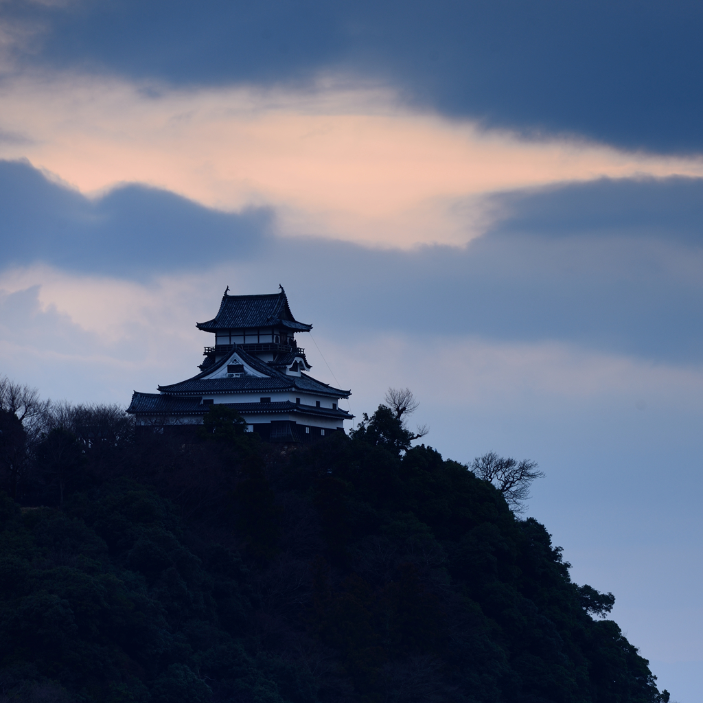 今日の犬山城　夕景