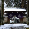 表の顔　大ひのきを従えて