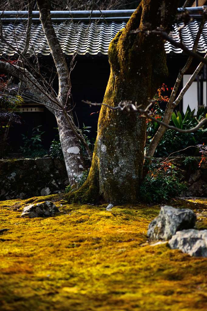 岐阜　大智寺１