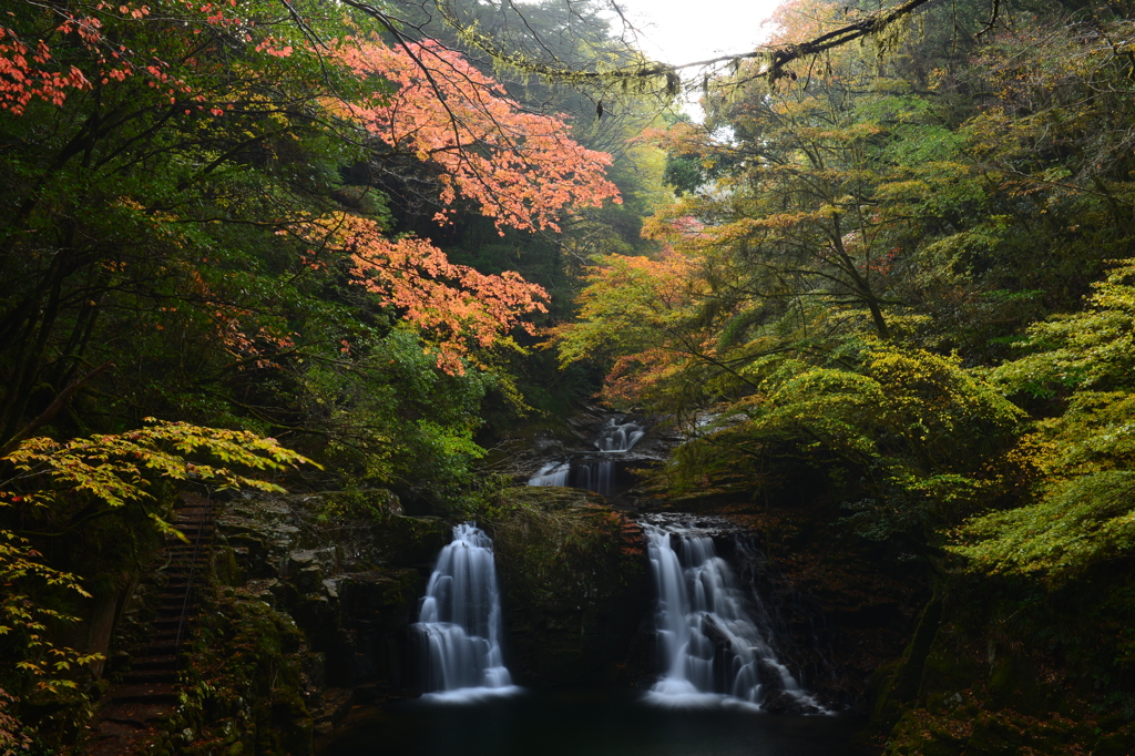 朝靄残る荷担滝