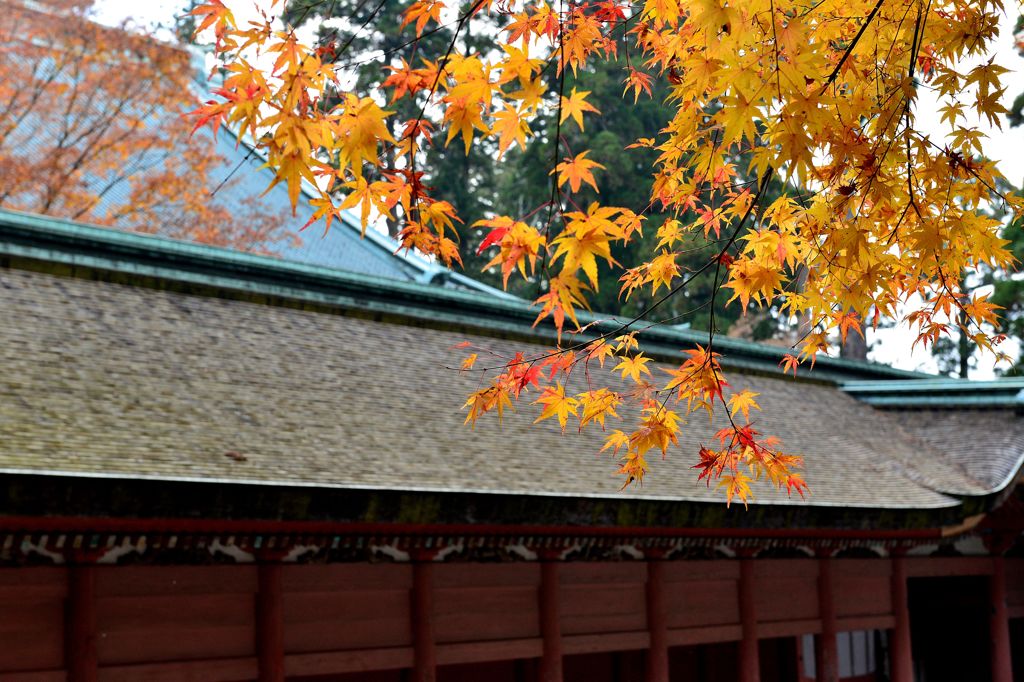 延暦寺