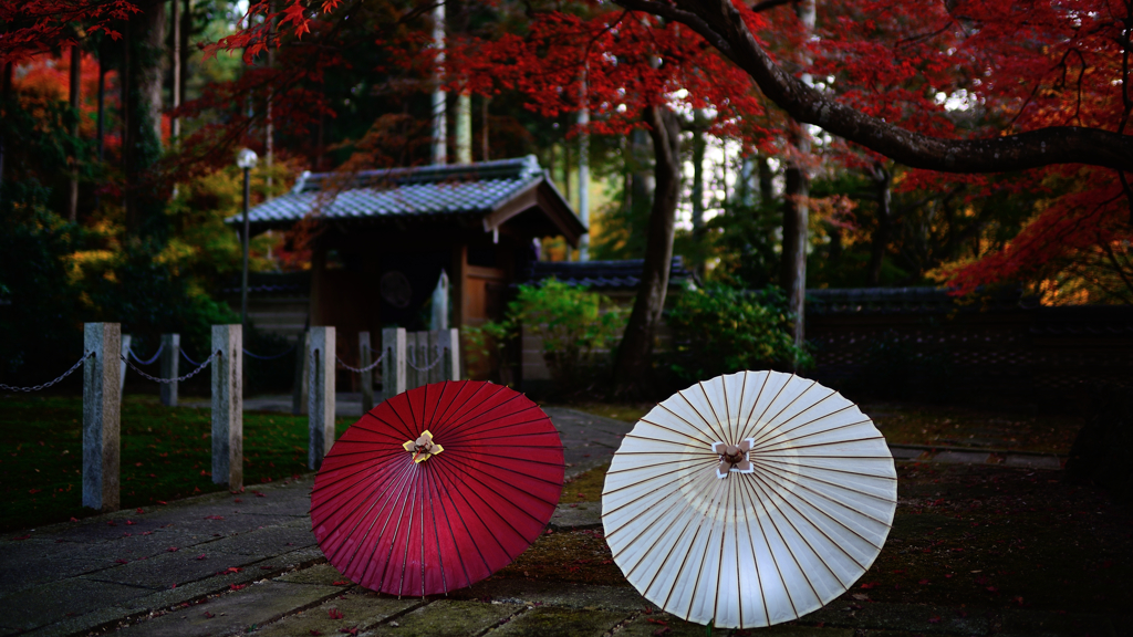 大智寺☆岐阜和傘　２