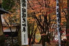 晩秋の横蔵寺
