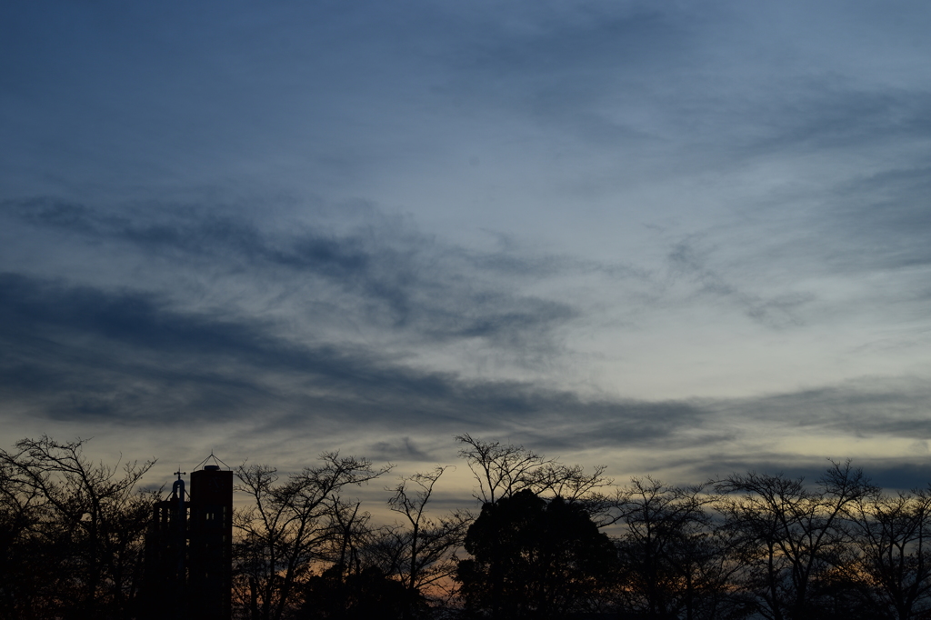 公園の夕暮れ時