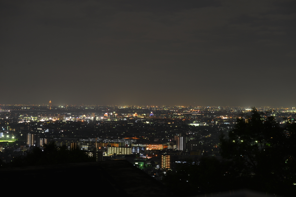 金華山夜景