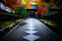 京の秋は綺麗だった６