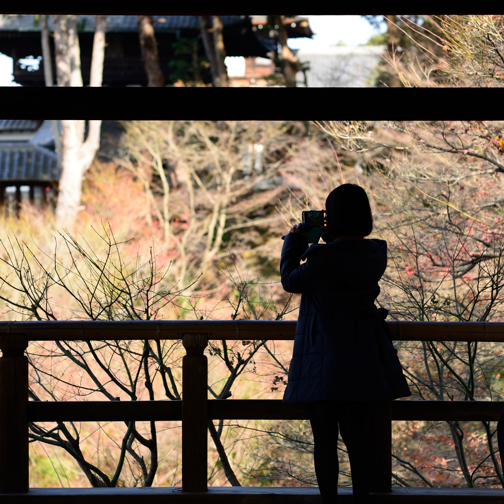 東福寺を撮る