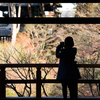 東福寺を撮る