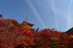 昼間の光線