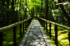高桐院　振り向けば