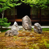 建仁寺　1