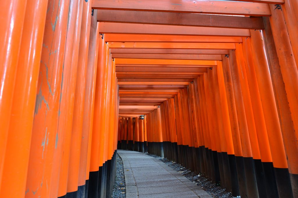 鳥居の道