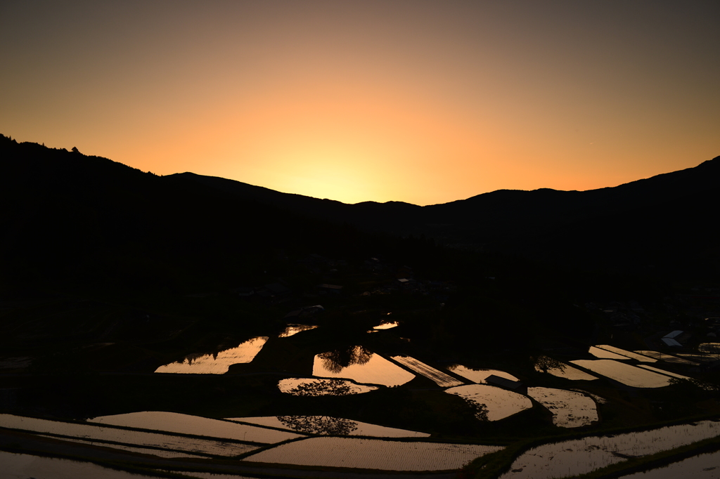 坂折棚田　橙の時